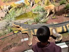 -陕西自然博物馆