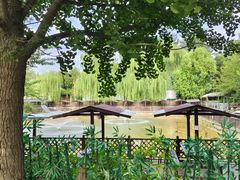 -尚庄度假村·庭台树下·户外烧烤·团建CS·轰趴营地(上庄水库店)