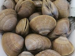 -抹直口特色菜馆(一店)