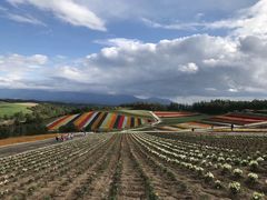 -富田农场