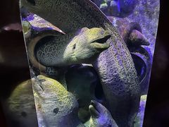 -太平洋海底世界