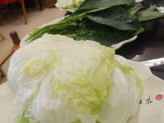 -芦月轩羊蝎子(北蜂窝店)