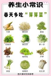 -雅曼妮spa美容养生