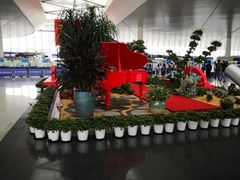 -温州龙湾国际机场