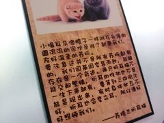 -猫咪博物馆(顶澳仔猫街店)