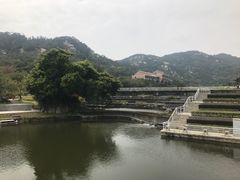-厦门国家会计学院