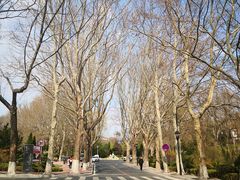 -棒棰岛宾馆景区