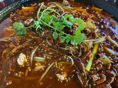 泡椒美蛙汤锅-鸿顺老铁锅美蛙鱼府(解放碑店)