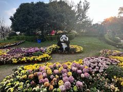 -南山植物园
