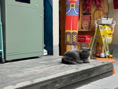 -SeekSeeking咖啡专门店(堰塘街店)