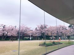 -金泽21世纪美术馆