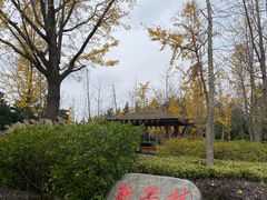 -黄兴公园