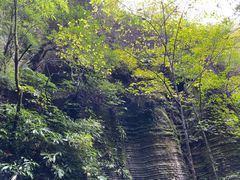 -梦幻奥陶纪景区