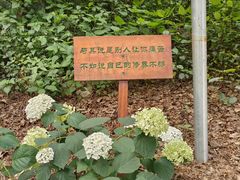 -寂照庵