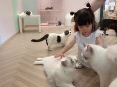 -酷豆宠物咖啡·宠物美食·撸猫馆