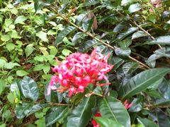 景点-海南热带野生动植物园