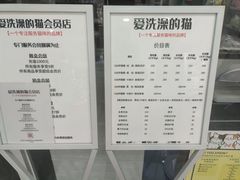 -爱洗澡的猫(望京店)