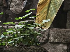 -驿舍·民國老营房院子私房菜(科学会堂店)