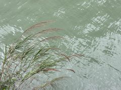 -大渡河峡谷国家地质公园