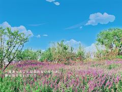 -天鹅湖体育公园
