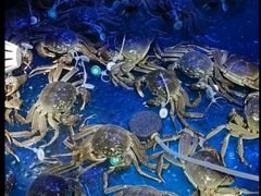 -蟹小姐节气生鲜·年货(高新店)
