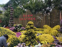 -南山植物园