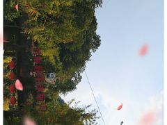 -栾川竹海野生动物园