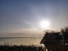 -贡湖湾湿地公园