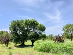 -野鸭湖国家湿地公园