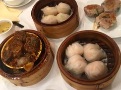 -同乐轩港式早茶