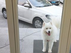 -宠福鑫康馨动物医院·骨科·眼科