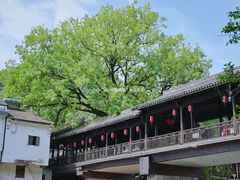-鹿亭中村