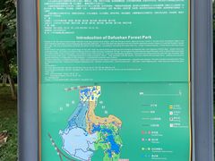 -番禺大夫山森林公园