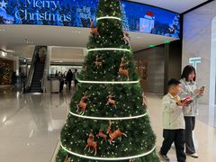 -深圳湾万象城(南山店)