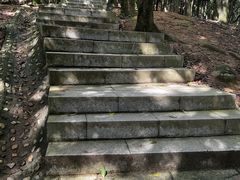 -阳台山森林公园