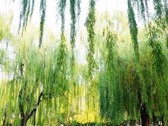 -玲珑塔公园