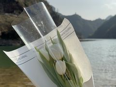 -楠溪江风景名胜区