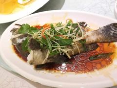 -顺德佬华侨城店·商务宴请·团建