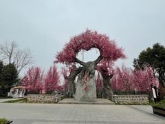 -昌州古城