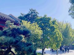 -北京鲁迅博物馆(北京新文化运动纪念馆鲁博馆区)