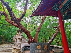 -千佛山风景名胜区