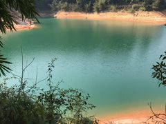 -广州市流溪河国家森林公园