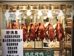 -顺城金记卤鸡·清真