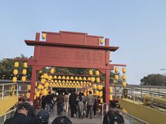 -巢湖姥山岛