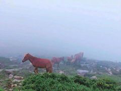 -北京灵山风景区