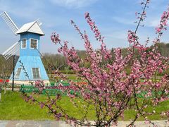 -宜兴龙背山森林公园