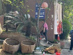 -桃源山庄·水蜜桃采摘·柴火鸡·烧烤团建(龙泉山店)