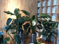 -东方艺术博物馆