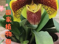 -国家植物园南园