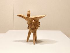 -天津自然博物馆